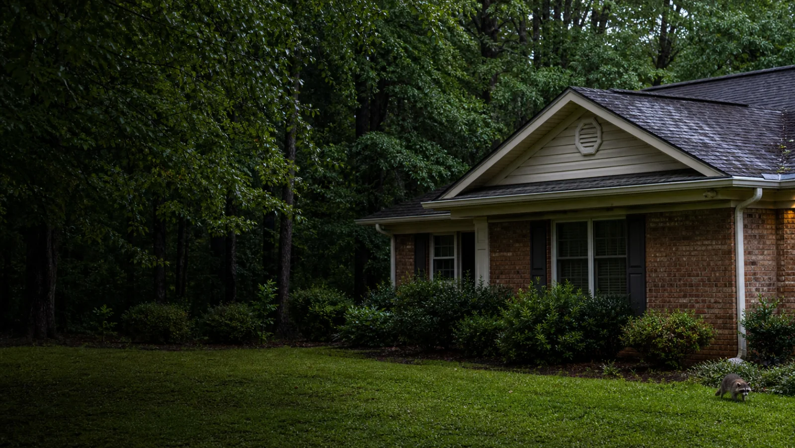 Wildlife near a North Alabama home